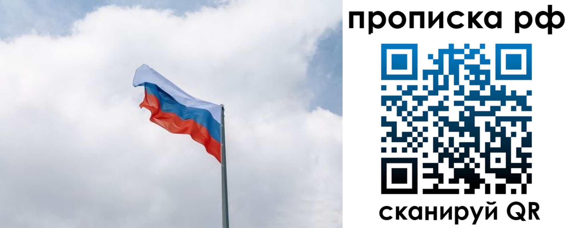 прописка гарантия в Вязьме